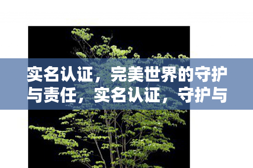 实名认证,完美世界的守护与责任,实名认证,守护与责任在完美世界中并行 实名认证,完美世界的守护与责任,实名认证,守护与责任在完美世界中并行
