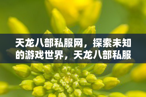 探索未知的游戏世界图片