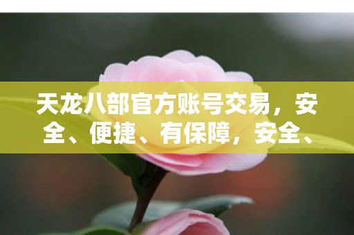 天龙八部官方账号交易，安全、便捷、有保障，安全、便捷、有保障，天龙八部官方账号交易