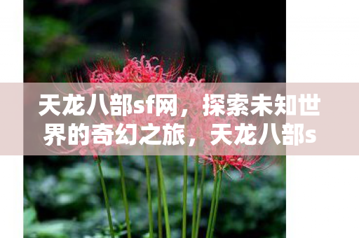 探索未知世界的奇幻之旅图片