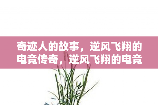 奇迹人的故事,逆风飞翔的电竞传奇,逆风飞翔的电竞传奇,奇迹人的故事 奇迹人的故事,逆风飞翔的电竞传奇,逆风飞翔的电竞传奇,奇迹人的故事