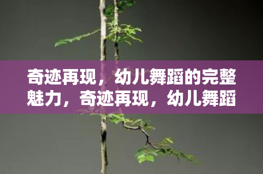 奇迹再现,幼儿舞蹈的完整魅力,奇迹再现,幼儿舞蹈的完整魅力 奇迹再现,幼儿舞蹈的完整魅力,奇迹再现,幼儿舞蹈的完整魅力
