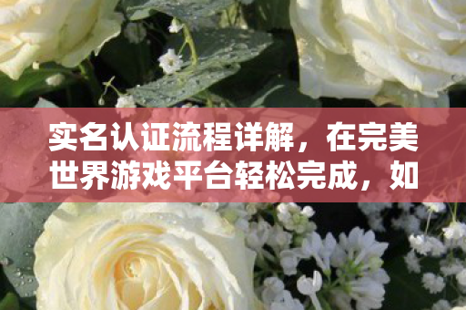 实名认证流程详解，在完美世界游戏平台轻松完成，如何在完美世界游戏平台完成实名认证流程