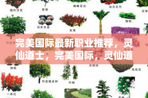 完美国际最新职业推荐，灵仙道士，完美国际，灵仙道士，全新职业等你来挑战！