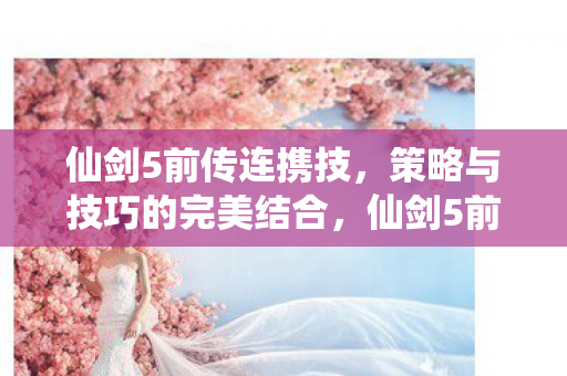 策略与技巧的完美结合图片