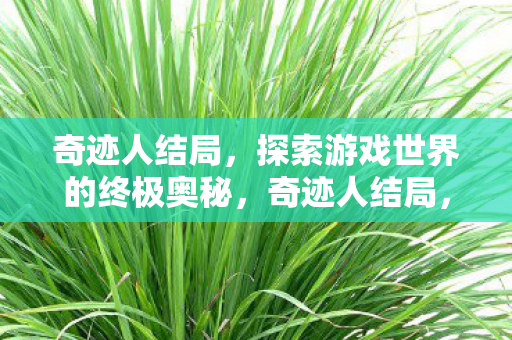 探索游戏世界的终极奥秘图片
