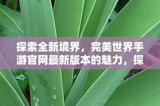探索全新境界,完美世界手游官网最新版本的魅力,探索全新境界,完美世界手游官网最新版本魅力揭秘 探索全新境界,完美世界手游官网最新版本的魅力,探索全新境界,完美世界手游官网最新版本魅力揭秘