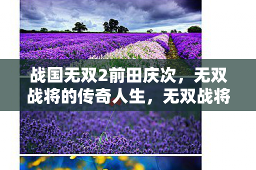 战国无双2前田庆次,无双战将的传奇人生,无双战将,前田庆次的传奇人生 战国无双2前田庆次,无双战将的传奇人生,无双战将,前田庆次的传奇人生