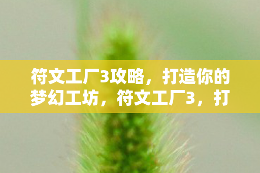符文工厂3攻略,打造你的梦幻工坊,符文工厂3,打造梦幻工坊全攻略 符文工厂3攻略,打造你的梦幻工坊,符文工厂3,打造梦幻工坊全攻略
