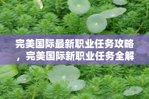 完美国际最新职业任务攻略,完美国际新职业任务全解析 完美国际最新职业任务攻略,完美国际新职业任务全解析