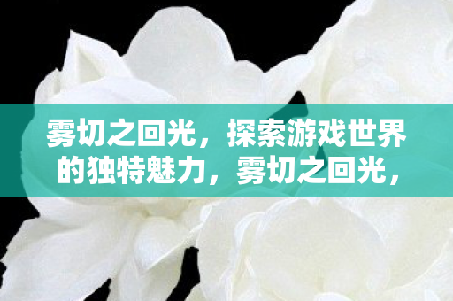 雾切之回光,探索游戏世界的独特魅力,雾切之回光,探索游戏世界的独特魅力 雾切之回光,探索游戏世界的独特魅力,雾切之回光,探索游戏世界的独特魅力