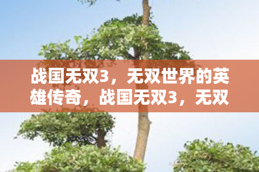 战国无双3，无双世界的英雄传奇，战国无双3，无双世界的英雄传奇