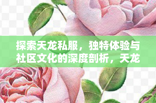 独特体验与社区文化的深度剖析图片