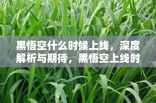 黑悟空什么时候上线,深度解析与期待,黑悟空上线时间深度解析,期待与猜测 黑悟空什么时候上线,深度解析与期待,黑悟空上线时间深度解析,期待与猜测