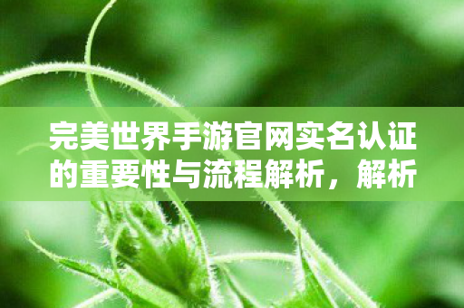 完美世界手游官网实名认证的重要性与流程解析,解析完美世界手游官网实名认证的重要性与流程 完美世界手游官网实名认证的重要性与流程解析,解析完美世界手游官网实名认证的重要性与流程