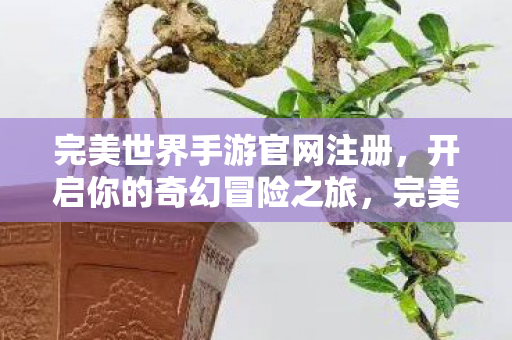 完美世界手游官网注册开启奇幻冒险之旅图片