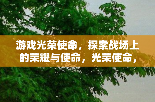 探索战场上的荣耀与使命图片