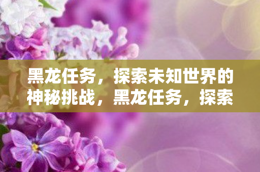 黑龙任务，探索未知世界的神秘挑战，黑龙任务，探索未知世界的神秘挑战