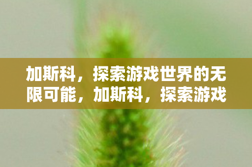 加斯科,探索游戏世界的无限可能,加斯科,探索游戏世界的无限可能 加斯科,探索游戏世界的无限可能,加斯科,探索游戏世界的无限可能