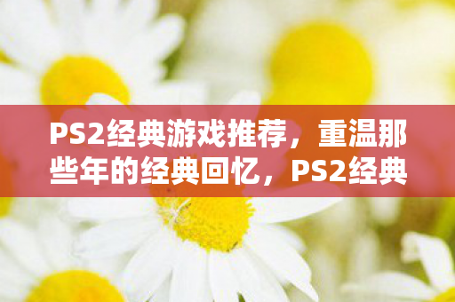 PS2经典游戏推荐,重温那些年的经典回忆,PS2经典游戏重温,那些年我们一起追过的回忆 PS2经典游戏推荐,重温那些年的经典回忆,PS2经典游戏重温,那些年我们一起追过的回忆