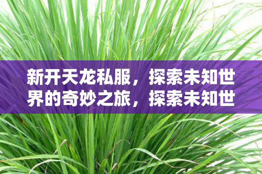 探索未知世界的奇妙之旅图片