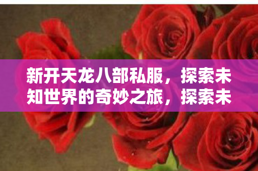 新开天龙八部私服奇妙之旅图片