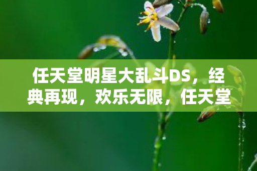 任天堂明星大乱斗DS,经典再现,欢乐无限,任天堂明星大乱斗DS,经典再现,欢乐无限 任天堂明星大乱斗DS,经典再现,欢乐无限,任天堂明星大乱斗DS,经典再现,欢乐无限