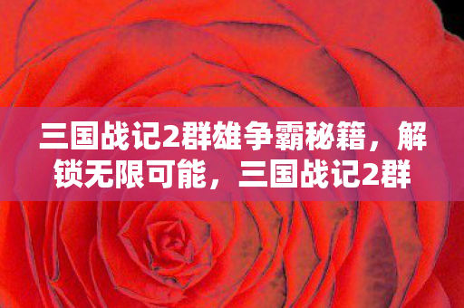 三国战记2群雄争霸秘籍图片