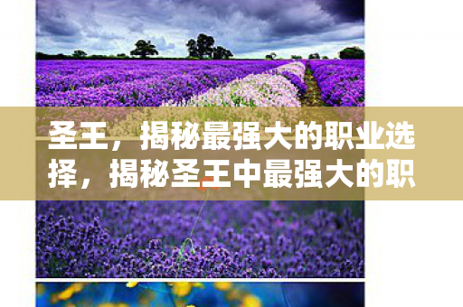 圣王,揭秘最强大的职业选择,揭秘圣王中最强大的职业选择 圣王,揭秘最强大的职业选择,揭秘圣王中最强大的职业选择