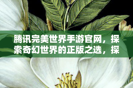 腾讯完美世界手游官网,探索奇幻世界的正版之选,探索奇幻世界,腾讯完美世界手游官网等你来战! 腾讯完美世界手游官网,探索奇幻世界的正版之选,探索奇幻世界,腾讯完美世界手游官网等你来战!