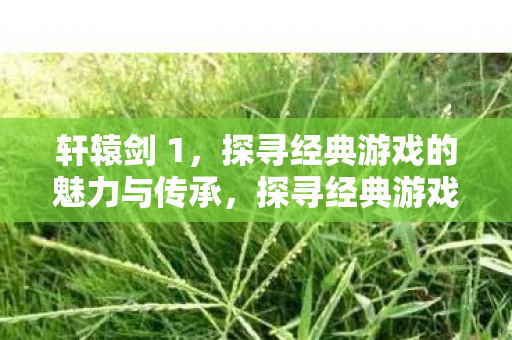 探寻经典游戏轩辕剑的魅力与传承图片