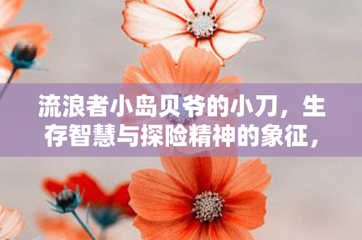 流浪者小岛贝爷的小刀,生存智慧与探险精神的象征,贝爷小刀,流浪者小岛上的生存智慧与探险精神象征 流浪者小岛贝爷的小刀,生存智慧与探险精神的象征,贝爷小刀,流浪者小岛上的生存智慧与探险精神象征