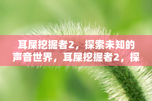 耳屎挖掘者2,探索未知的声音世界,耳屎挖掘者2,探索声音世界的奇妙之旅 耳屎挖掘者2,探索未知的声音世界,耳屎挖掘者2,探索声音世界的奇妙之旅