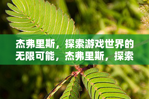 杰弗里斯,探索游戏世界的无限可能,杰弗里斯,探索游戏世界的无限可能 杰弗里斯,探索游戏世界的无限可能,杰弗里斯,探索游戏世界的无限可能