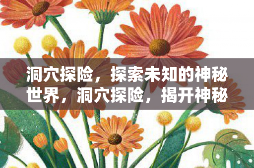 洞穴探险,探索未知的神秘世界,洞穴探险,揭开神秘世界的面纱 洞穴探险,探索未知的神秘世界,洞穴探险,揭开神秘世界的面纱