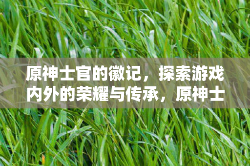 原神士官的徽记,探索游戏内外的荣耀与传承,原神士官荣耀,游戏内外的传承与荣耀 原神士官的徽记,探索游戏内外的荣耀与传承,原神士官荣耀,游戏内外的传承与荣耀