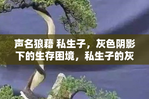声名狼藉 私生子,灰色阴影下的生存困境,私生子的灰色阴影,生存困境与声名狼藉 声名狼藉 私生子,灰色阴影下的生存困境,私生子的灰色阴影,生存困境与声名狼藉