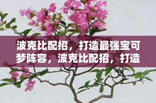 波克比配招,打造最强宝可梦阵容,波克比配招,打造最强宝可梦阵容的秘诀 波克比配招,打造最强宝可梦阵容,波克比配招,打造最强宝可梦阵容的秘诀