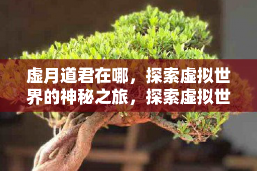 探索虚拟世界的神秘之旅图片