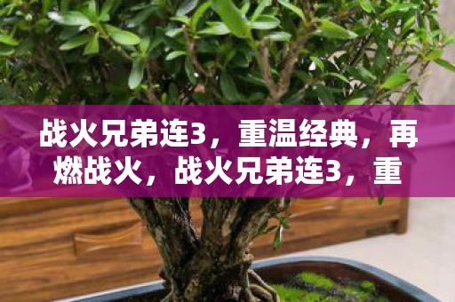 战火兄弟连3图片
