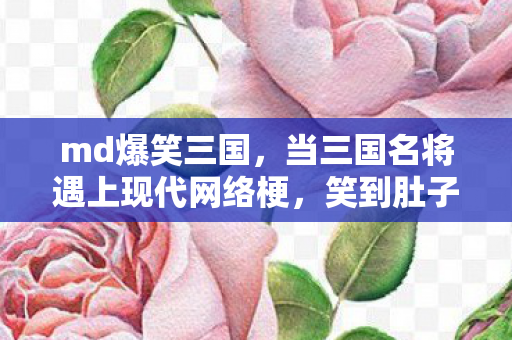当三国名将遇上现代网络梗图片