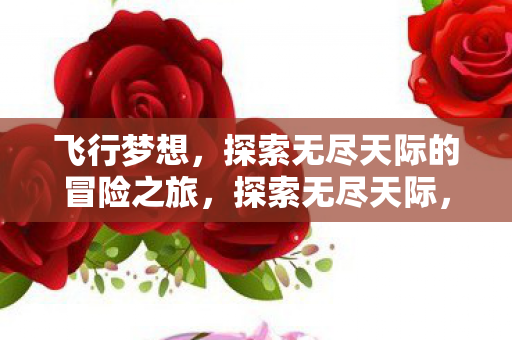 飞行梦想,探索无尽天际的冒险之旅,探索无尽天际,飞行梦想与冒险之旅 飞行梦想,探索无尽天际的冒险之旅,探索无尽天际,飞行梦想与冒险之旅