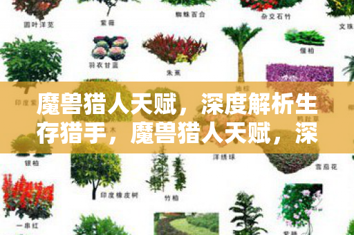 魔兽猎人天赋,深度解析生存猎手,魔兽猎人天赋,深度解析生存猎手的奥秘 魔兽猎人天赋,深度解析生存猎手,魔兽猎人天赋,深度解析生存猎手的奥秘