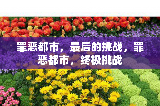 罪恶都市,最后的挑战,罪恶都市,终极挑战 罪恶都市,最后的挑战,罪恶都市,终极挑战