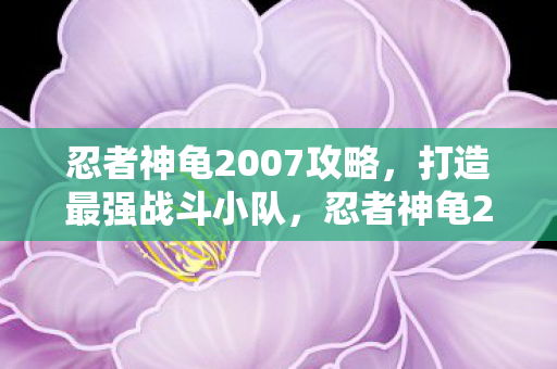 忍者神龟2007攻略，打造最强战斗小队，忍者神龟2007攻略，打造最强战斗小队