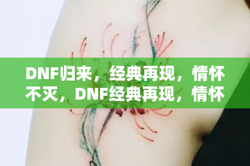 DNF经典再现图片