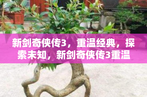 新剑奇侠传3重温经典图片