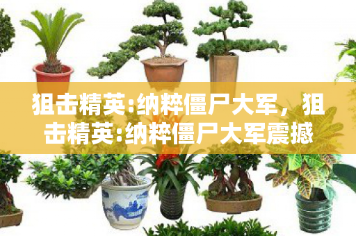 纳粹僵尸大军震撼来袭图片