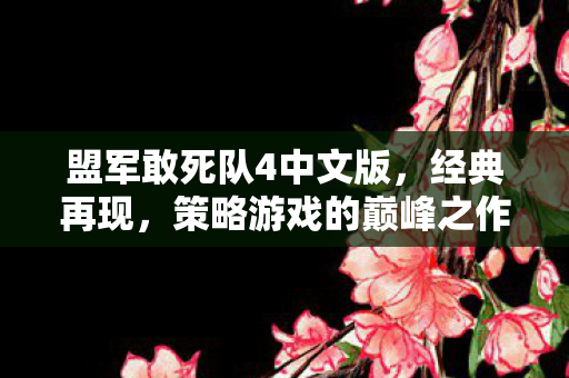 盟军敢死队4中文版,经典再现,策略游戏的巅峰之作,盟军敢死队4中文版,策略游戏巅峰再现 盟军敢死队4中文版,经典再现,策略游戏的巅峰之作,盟军敢死队4中文版,策略游戏巅峰再现