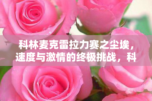 科林麦克雷拉力赛之尘埃图片